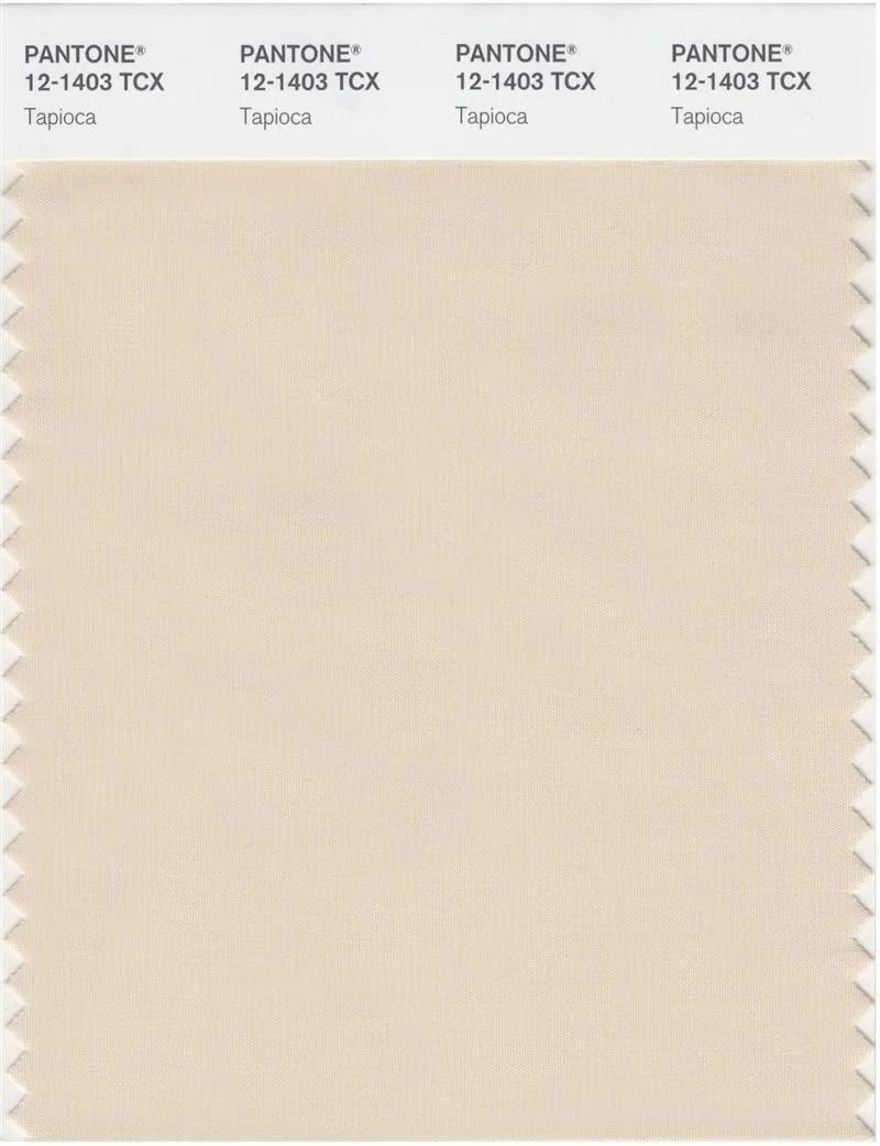 Pantone Smart 12-1403 TCX Color Swatch Card | Tapioca