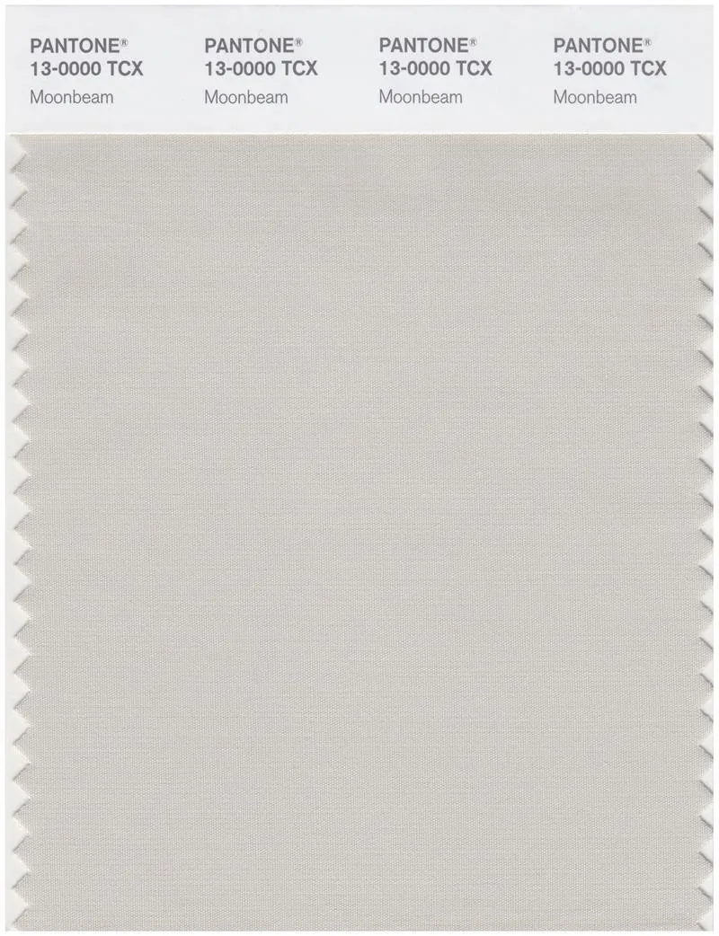 Pantone Smart 13-0000 TCX Color Swatch Card | Moonbeam