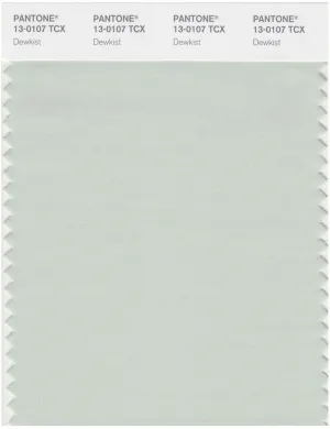 Pantone Smart 13-0107 TCX Color Swatch Card | Dewkist