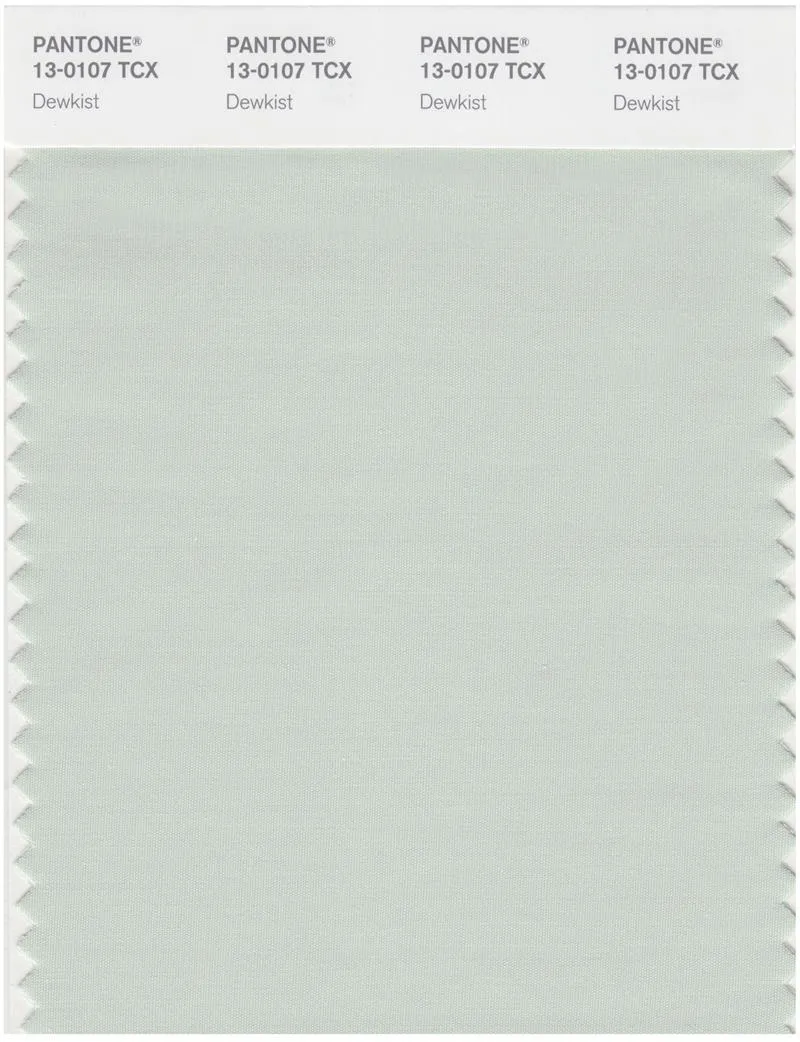 Pantone Smart 13-0107 TCX Color Swatch Card | Dewkist