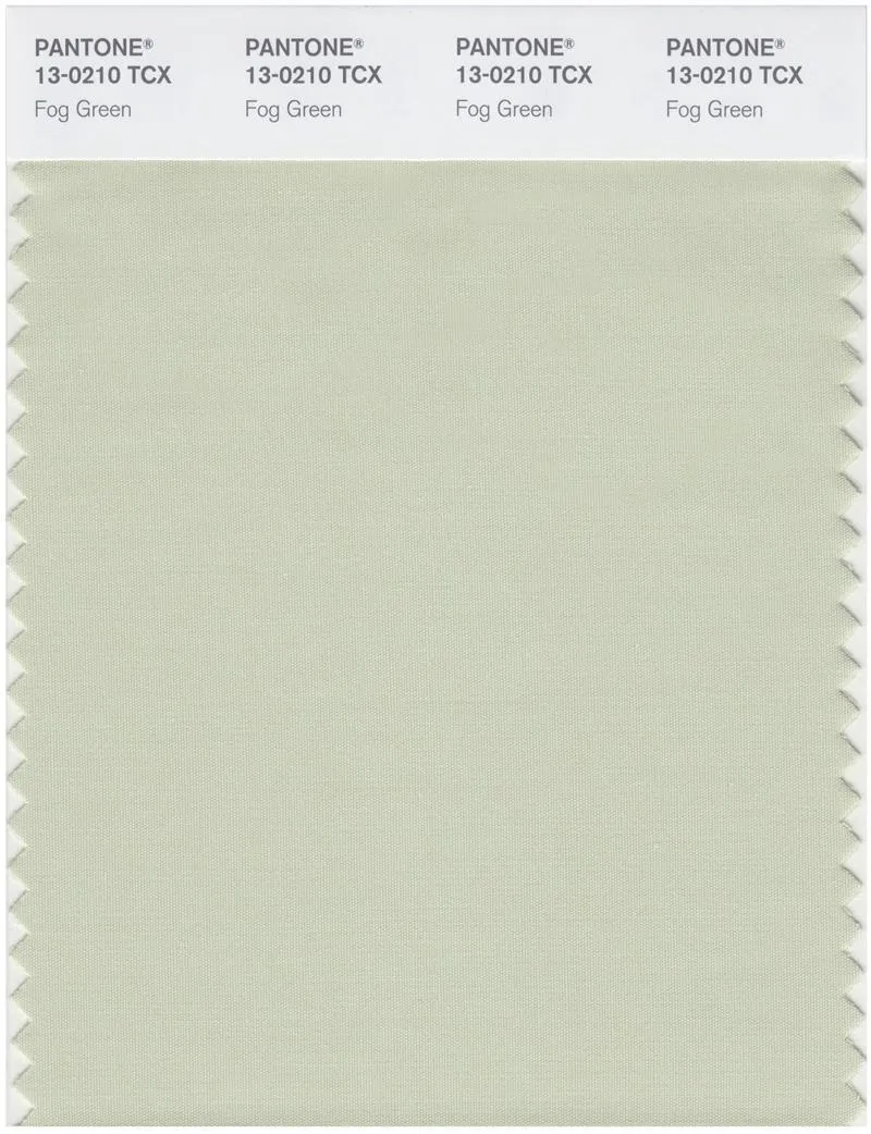 Pantone Smart 13-0210 TCX Color Swatch Card | Fog Green