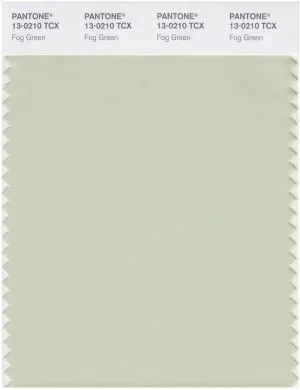 Pantone Smart 13-0210 TCX Color Swatch Card | Fog Green