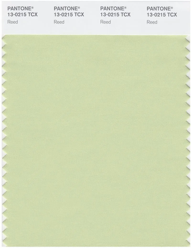 Pantone Smart 13-0215 TCX Color Swatch Card | Reed