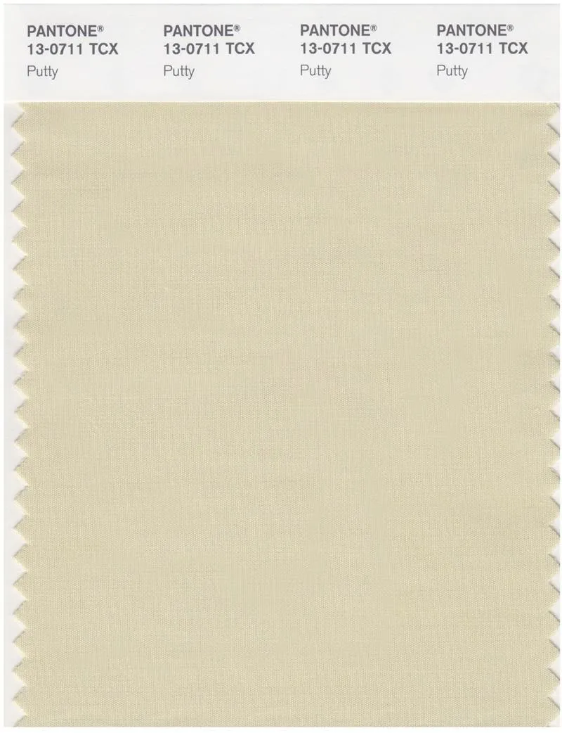 Pantone Smart 13-0711 TCX Color Swatch Card | Putty