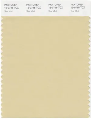 Pantone Smart 13-0715 TCX Color Swatch Card | Sea Mist