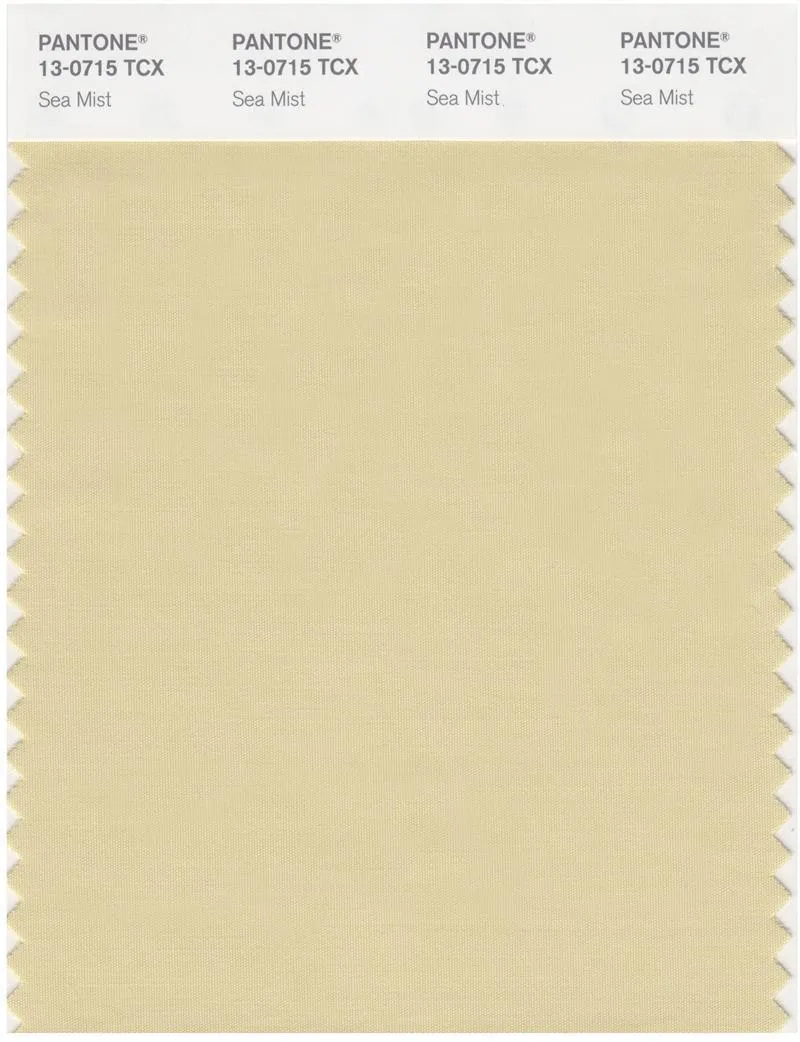 Pantone Smart 13-0715 TCX Color Swatch Card | Sea Mist