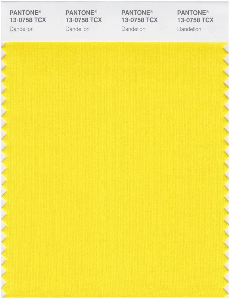 Pantone Smart 13-0814 TCX Color Swatch Card | Summer Melon