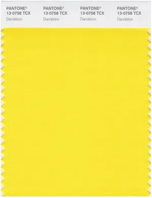 Pantone Smart 13-0814 TCX Color Swatch Card | Summer Melon